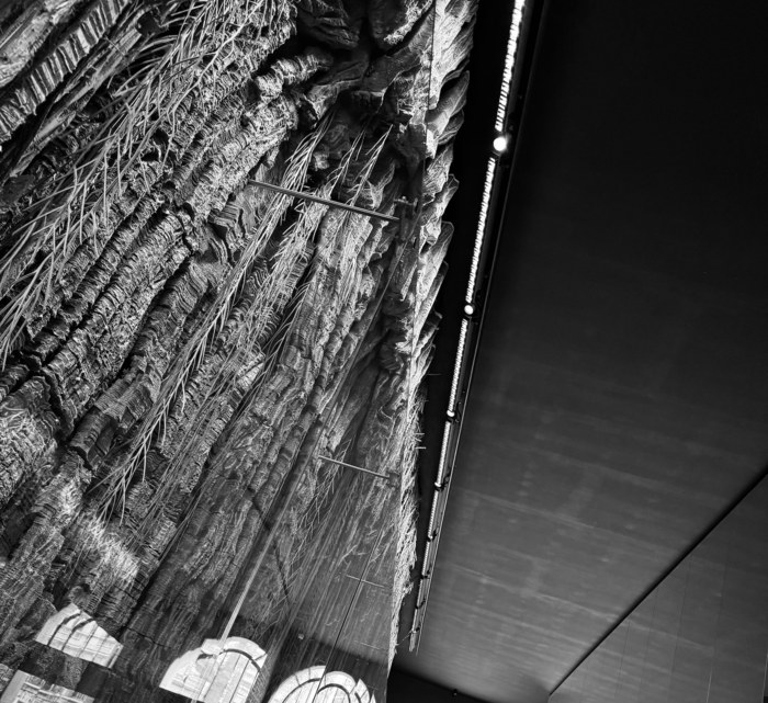 Instant 250417-13:26 by Yuuko Suzuki