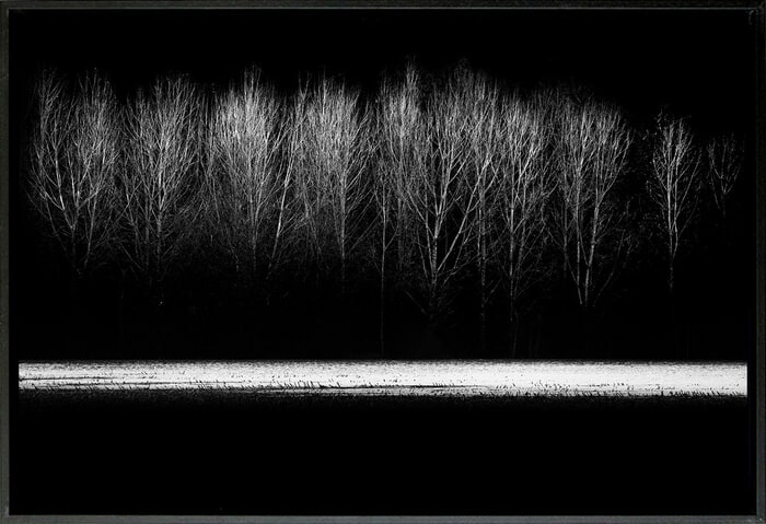 sans titre 115 par Thomas Gigot