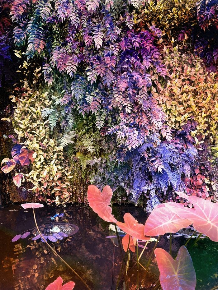 Secret Garden V by Viet Ha Tran