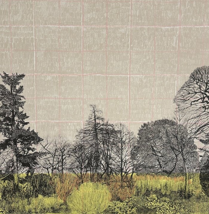 Above the Treetops  by Clare Halifax