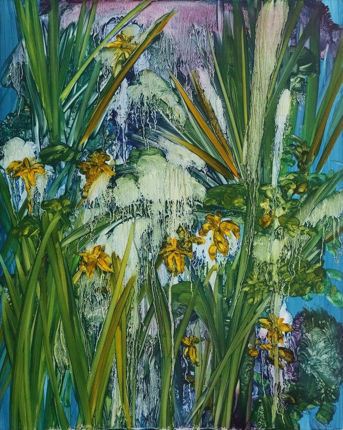 Marshy by Barbara Howey