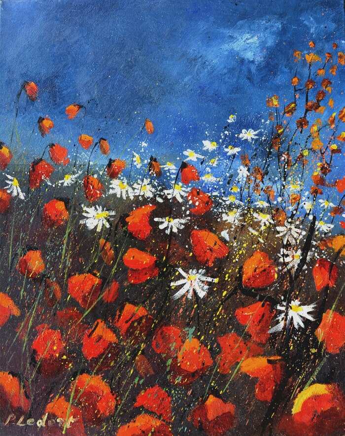 Red poppies  by Pol Ledent