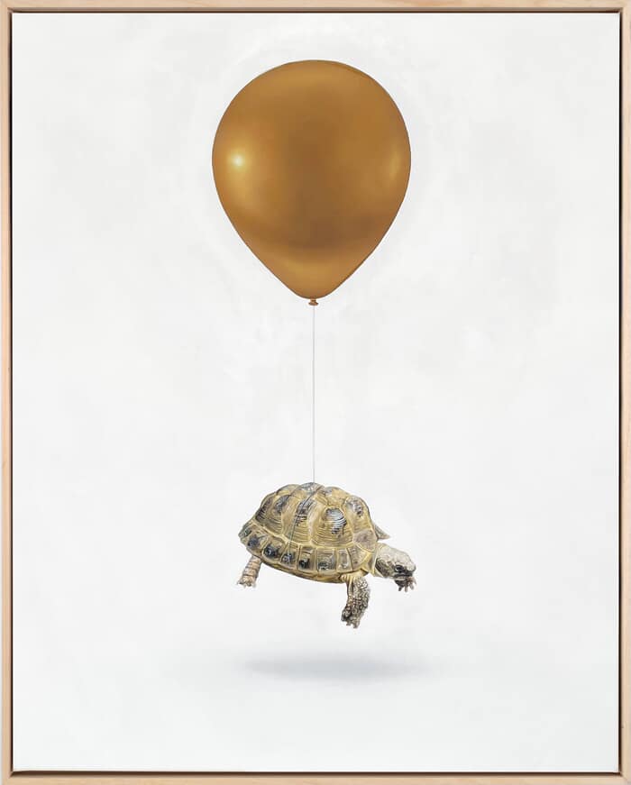 Zoltan II by Joshua Daniels