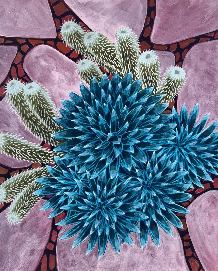 Queen Ann Agave and Cactus par Michael Pfleghaar