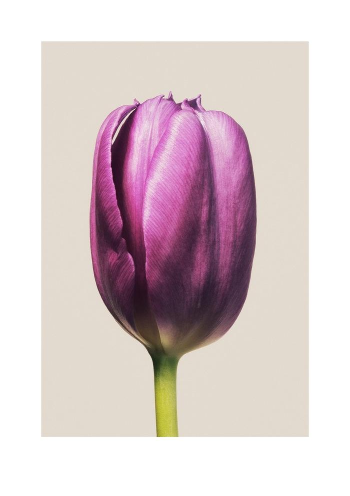 Closed Form by Louis Savage