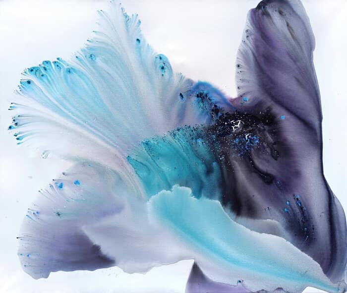 Nature 478 von Muriel Napoli