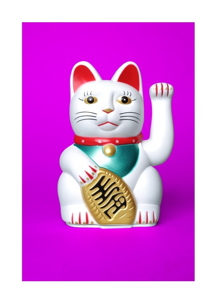 Fuchsia Lucky Cat by Ian Hoskin