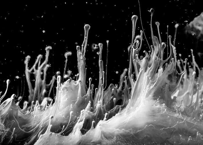 Come Away with Me by Javiera Estrada