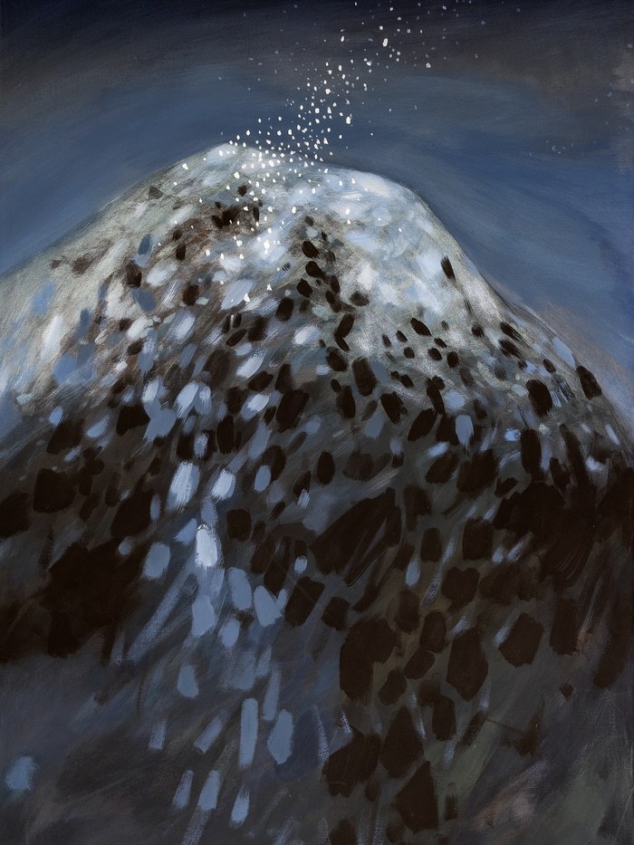 Une nuit de décembre by Vincent Ganaye