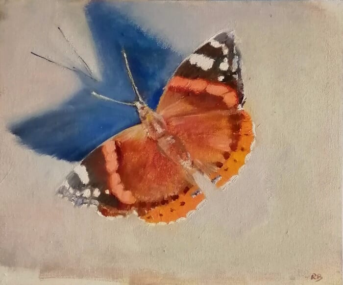 Red admiral by Rosemary Burn