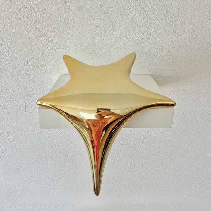 A Shooting Star by Yoni Alter