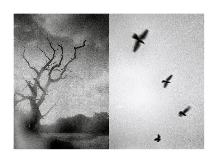 Experimental Farm 02 by Mark Tamer