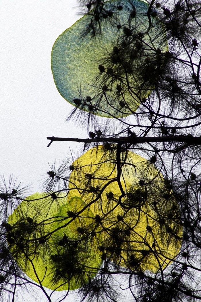 Cleon by Jérôme Pergolesi