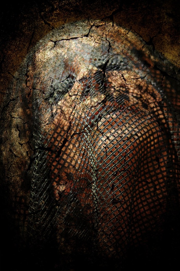 DOUBLE SKIN by Thalie B. Vernet