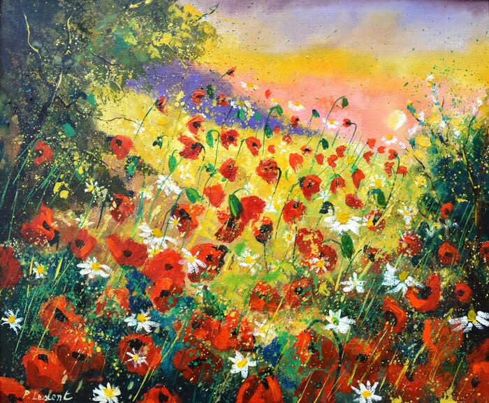 Red poppies 65 by Pol Ledent