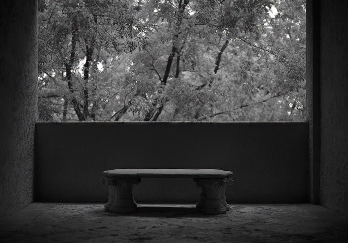 The Evolution Will Not Be Televised by Geoffrey Ansel Agrons