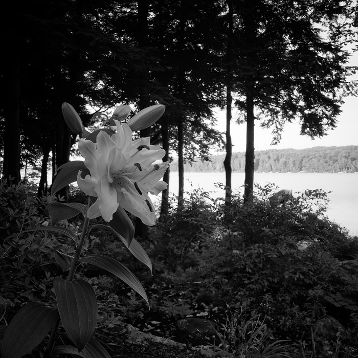 Voluptuous Panic Redux by Geoffrey Ansel Agrons