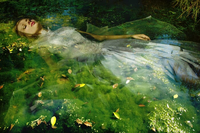 Take me to your dreams Ophelia IV  by Viet Ha Tran
