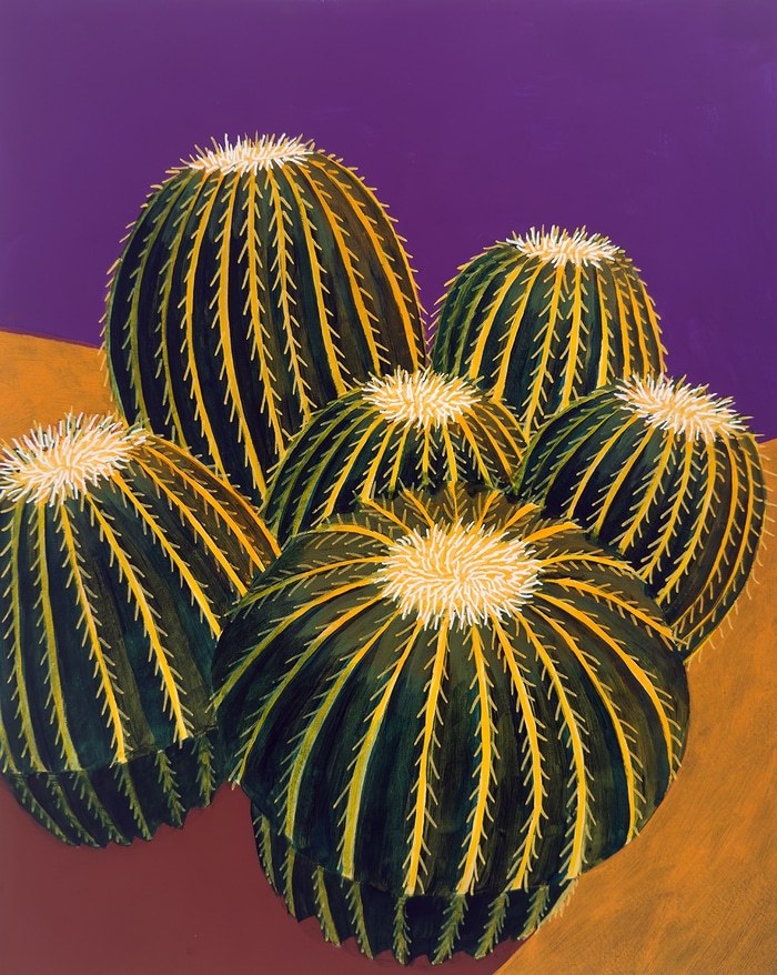 Golden Barrel Cactus by Michael Pfleghaar