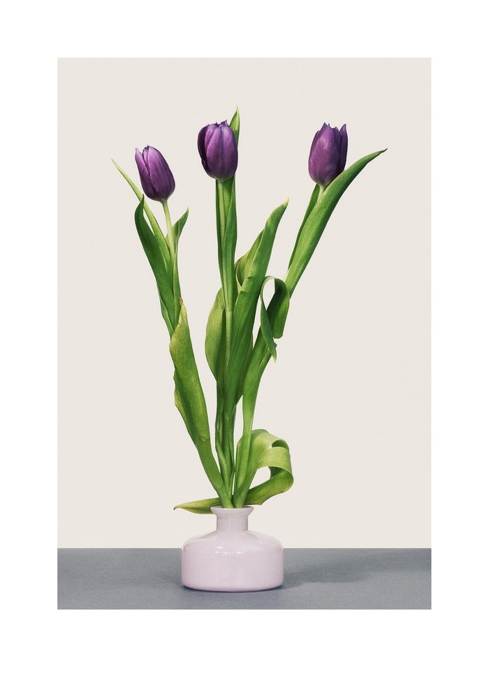 Threefold by Louis Savage