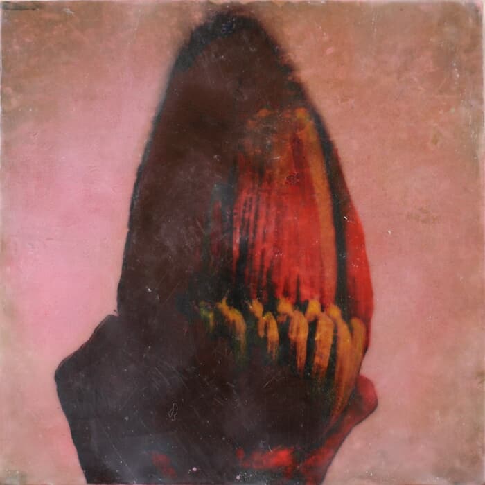 Musa Flos I by Gaëlle Cueff