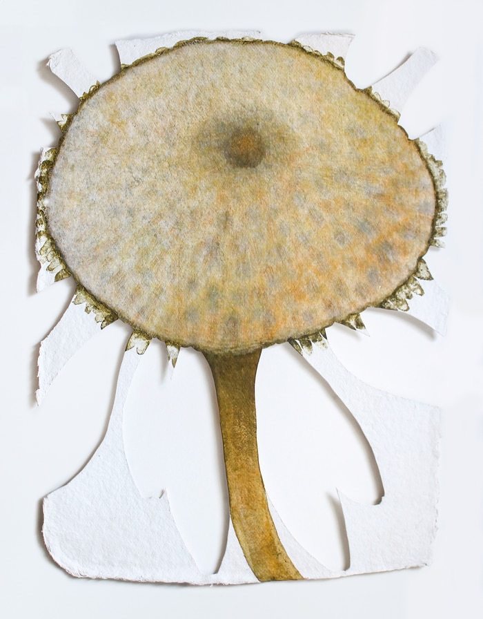 Core (Tenderbeing Series) by Ariadna Dane