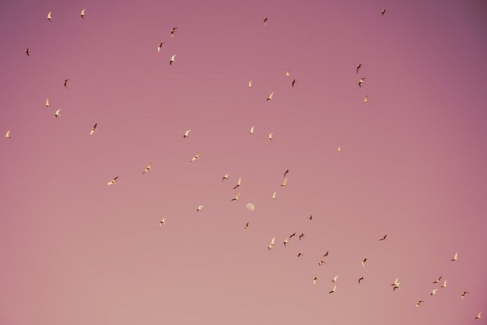 Gulf of Eilat #2 par Tal Paz-Fridman