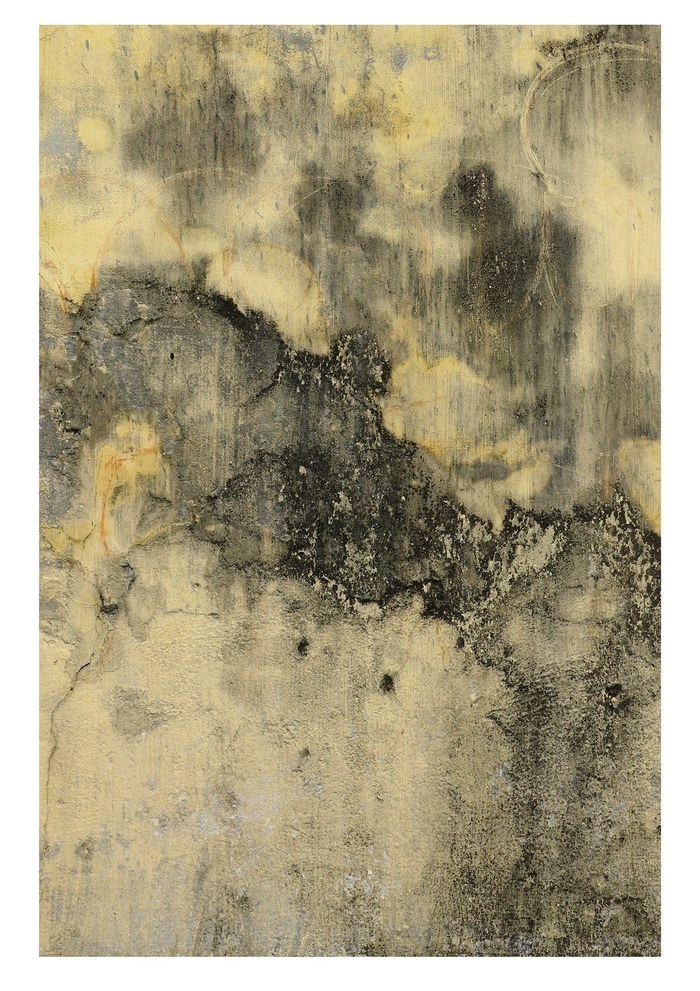 Kol Olungai II - 1 of 10 Limited Edition Photograph by Gina Parr Photography