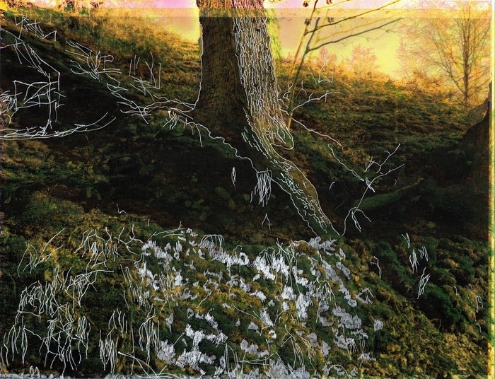 Les Vibrations de la forêt #16 by Gaëlle Cueff