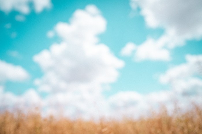 Fading memories #1 par Tal Paz-Fridman