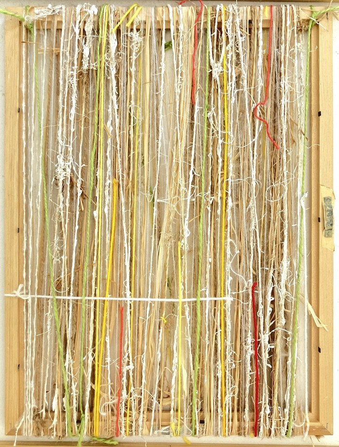 Le deuxième Filaire von Anne Iris