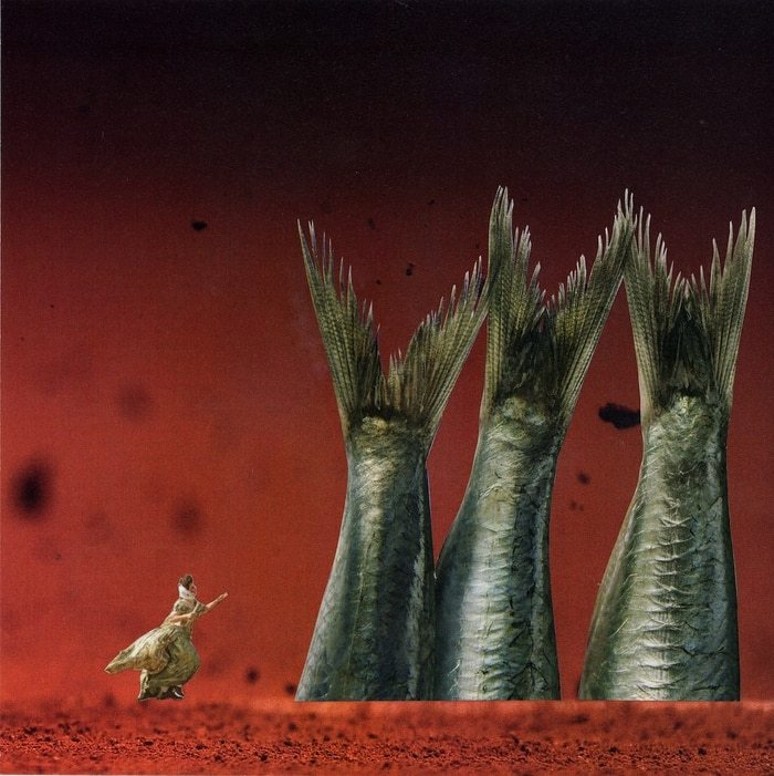 Madame rêve by Gaëlle Cueff