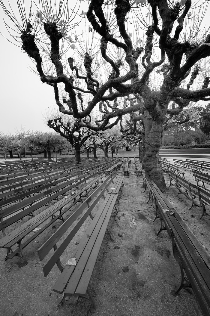 Pollardicon (San Francisco) by Geoffrey Ansel Agrons