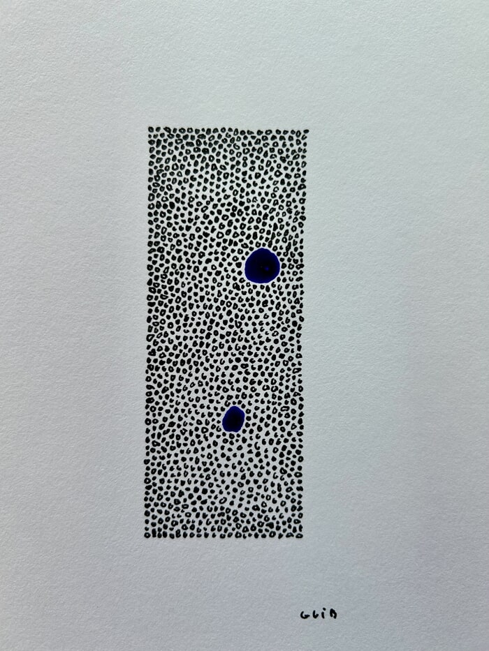 Carnets d'Hydra (10) by Guillaume Thunis