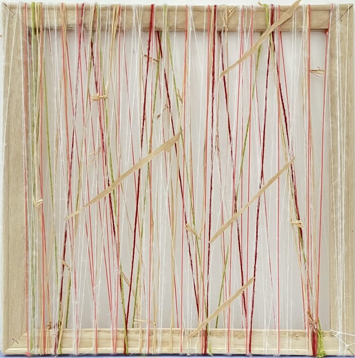 Le troisième Filaire by Anne Iris