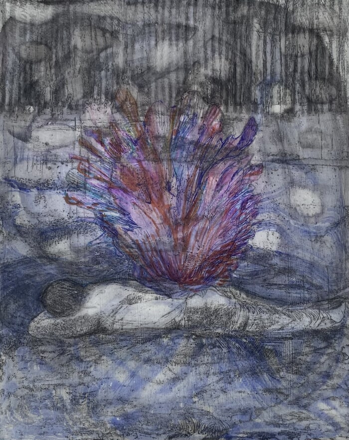 Mollusc by Hannah Turner-Duffin