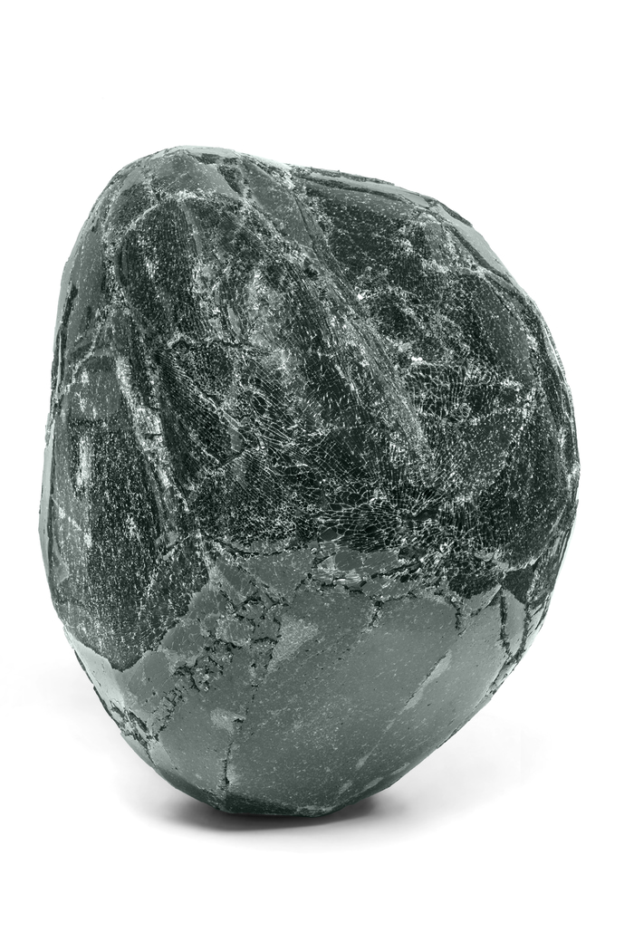 LA TRAMPA DEL DESTELLO  by Adriana Carambia