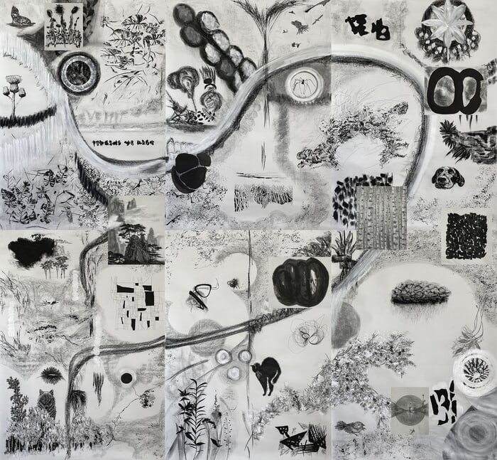 CUANDO LOS OJOS MIRAN LA OSCURIDAD  par Adriana Carambia