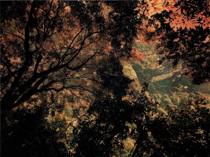 Les Vibrations de la forêt #20 by Gaëlle Cueff