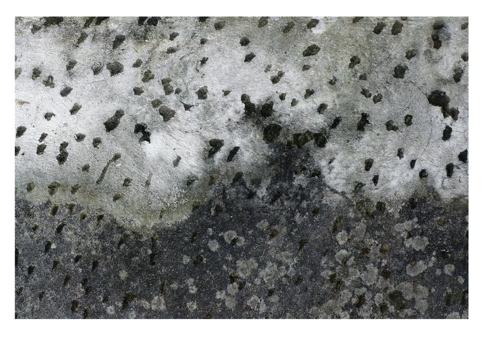 Bentota - 1 of 10 Limited Edition Photograph by Gina Parr Photography