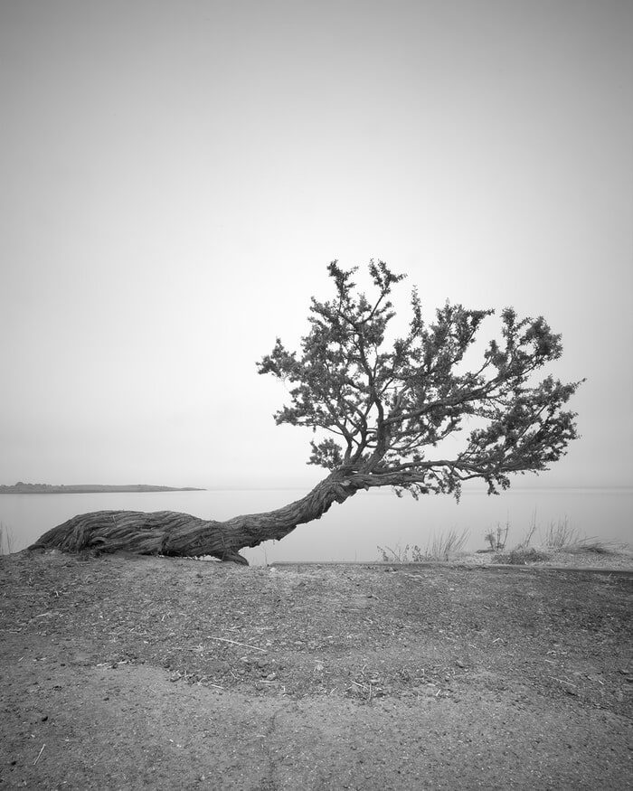 Rough Beast Redux by Geoffrey Ansel Agrons