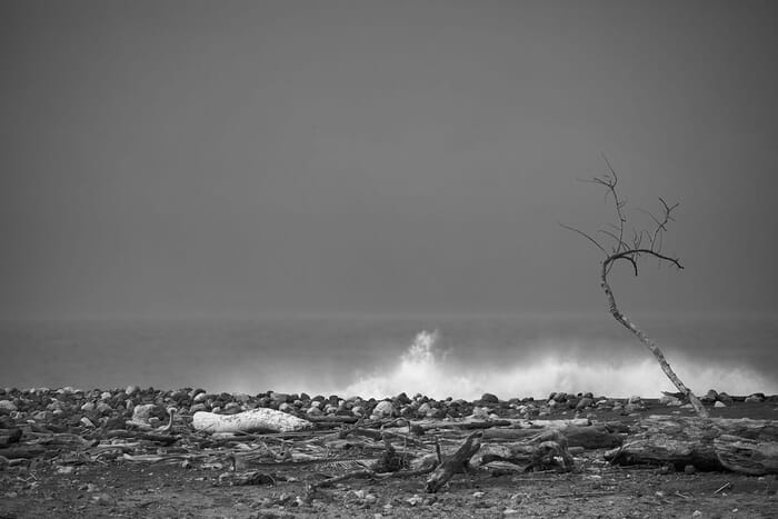 Fila de Desolación by Geoffrey Ansel Agrons