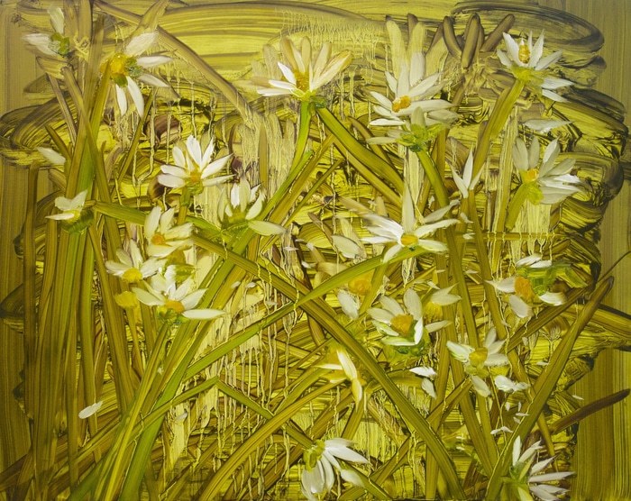 High Summer in the long grass by Barbara Howey
