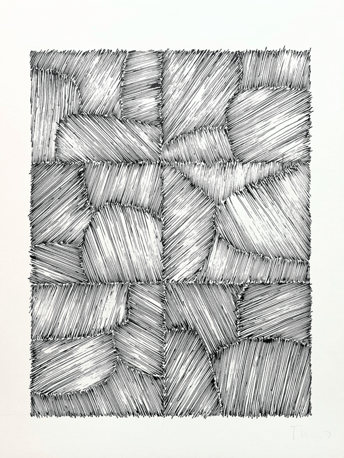 2025/27 - sans titre von Guillaume Thunis