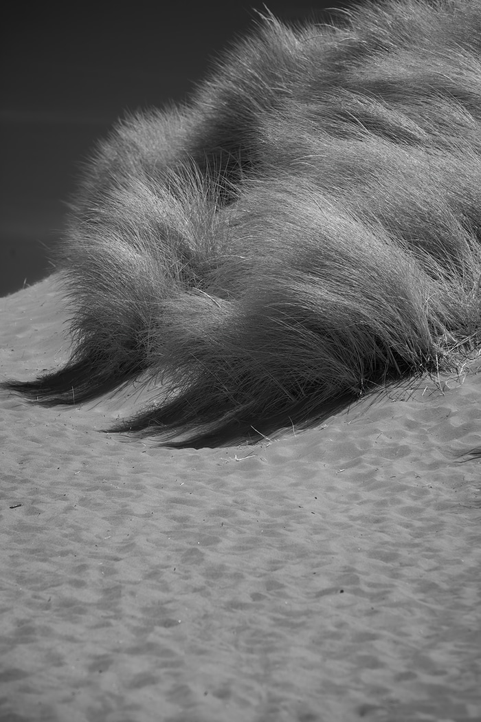 The Rapunzel Experience II by Geoffrey Ansel Agrons