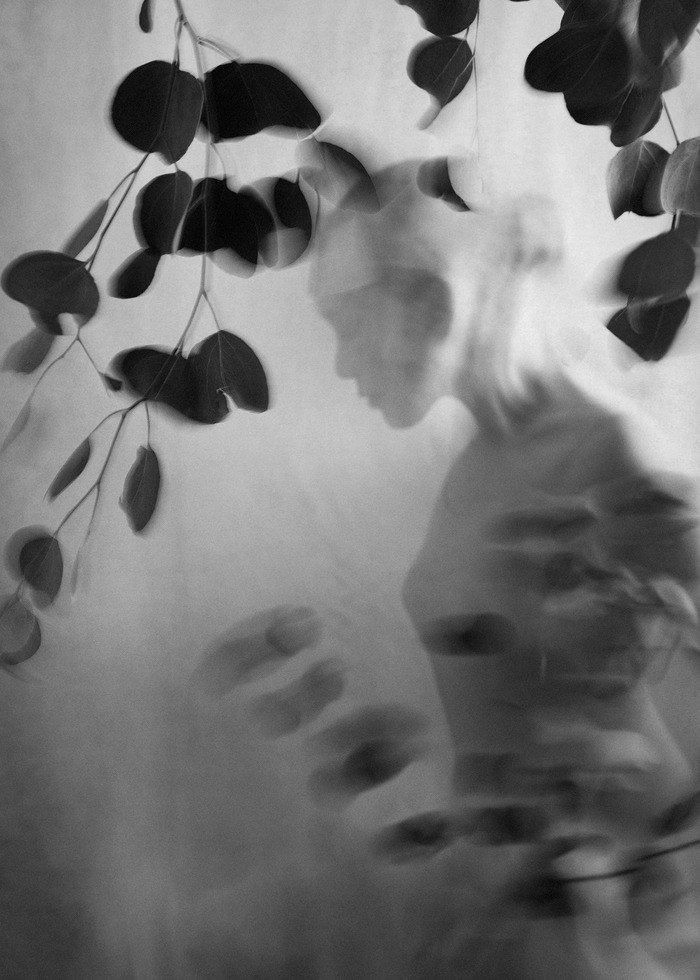  Veiled Whispers - II by Xidong Luo