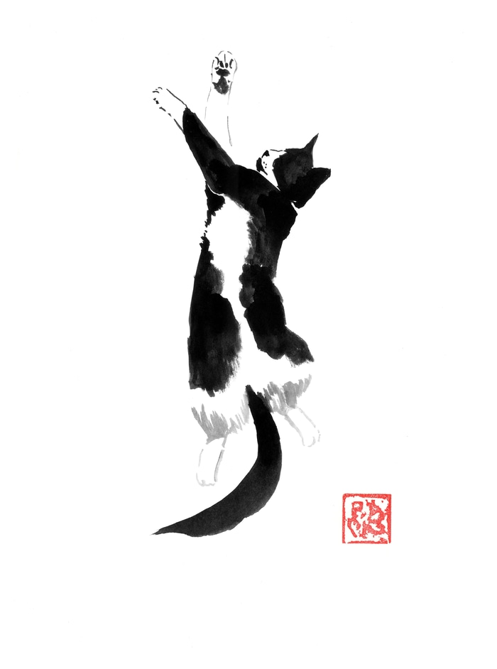 Chat dormant by Péchane