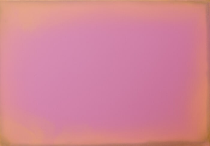 The Beginning / Wild Pink by Mila Weis