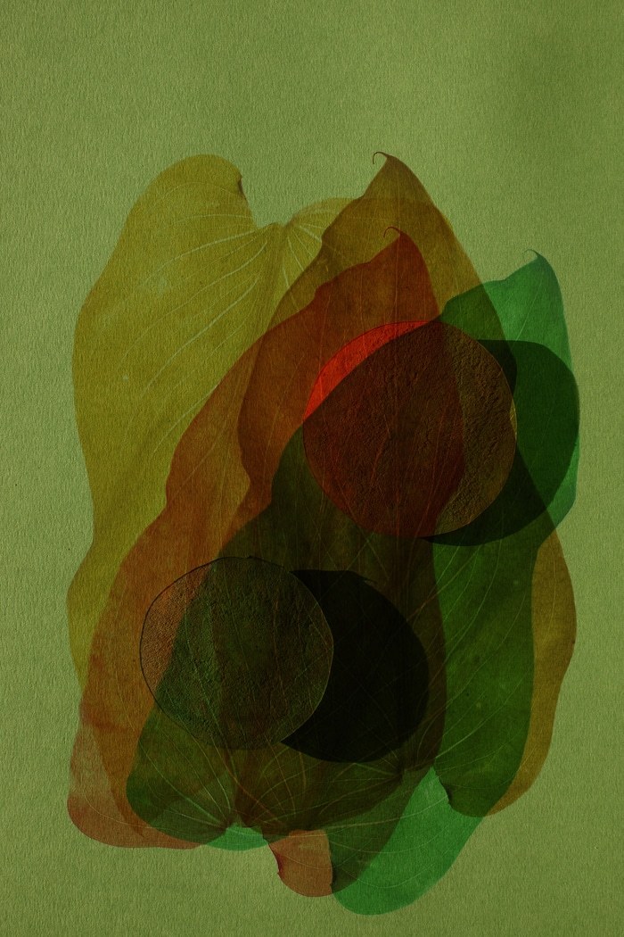 Sunny afternoon-29 by Emilie Moysson