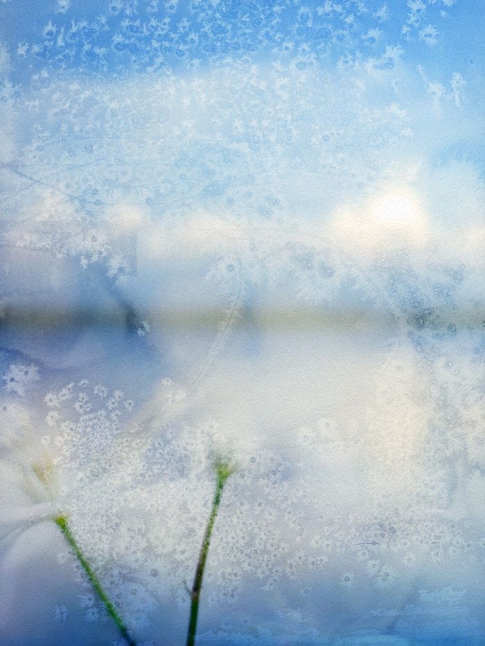 Actée by Jérôme Pergolesi